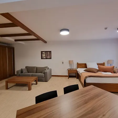 Apartman Queen Privatni App U Sklopu Aparthotela Vucko Jahorina